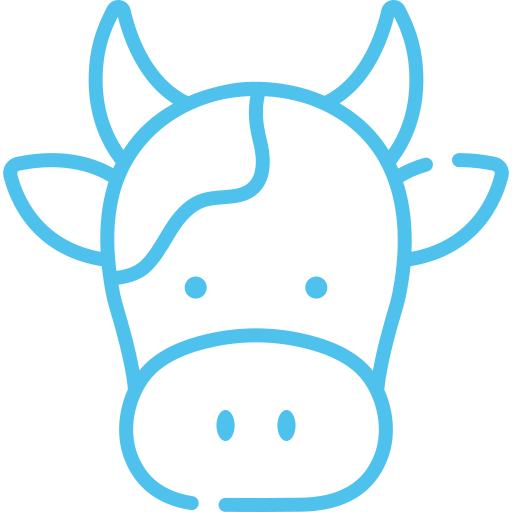 Vache
